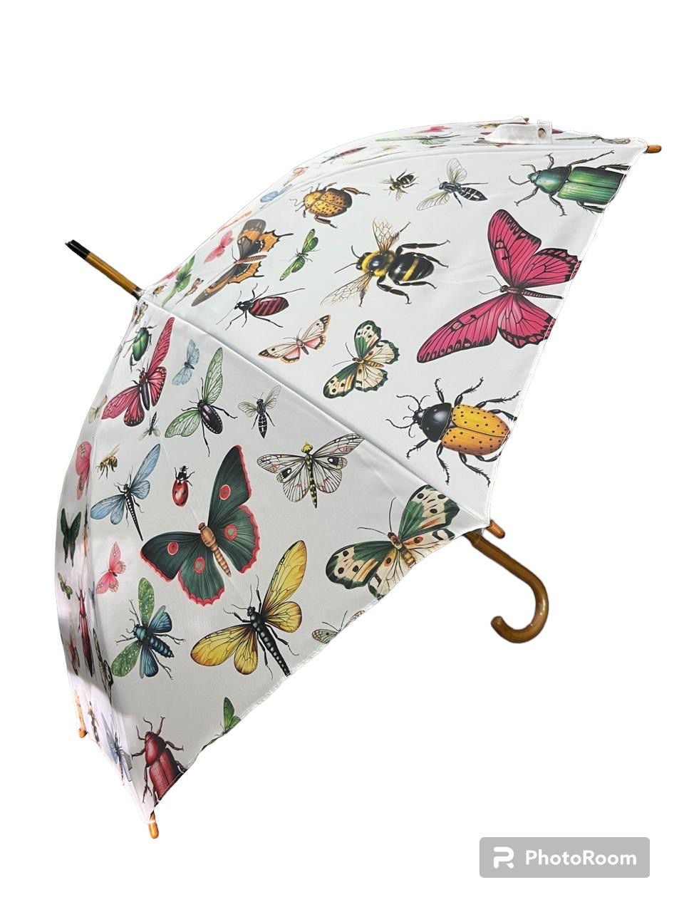 Umbrella Bugs