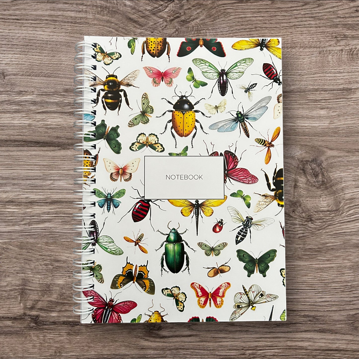 Notebook - Bugs